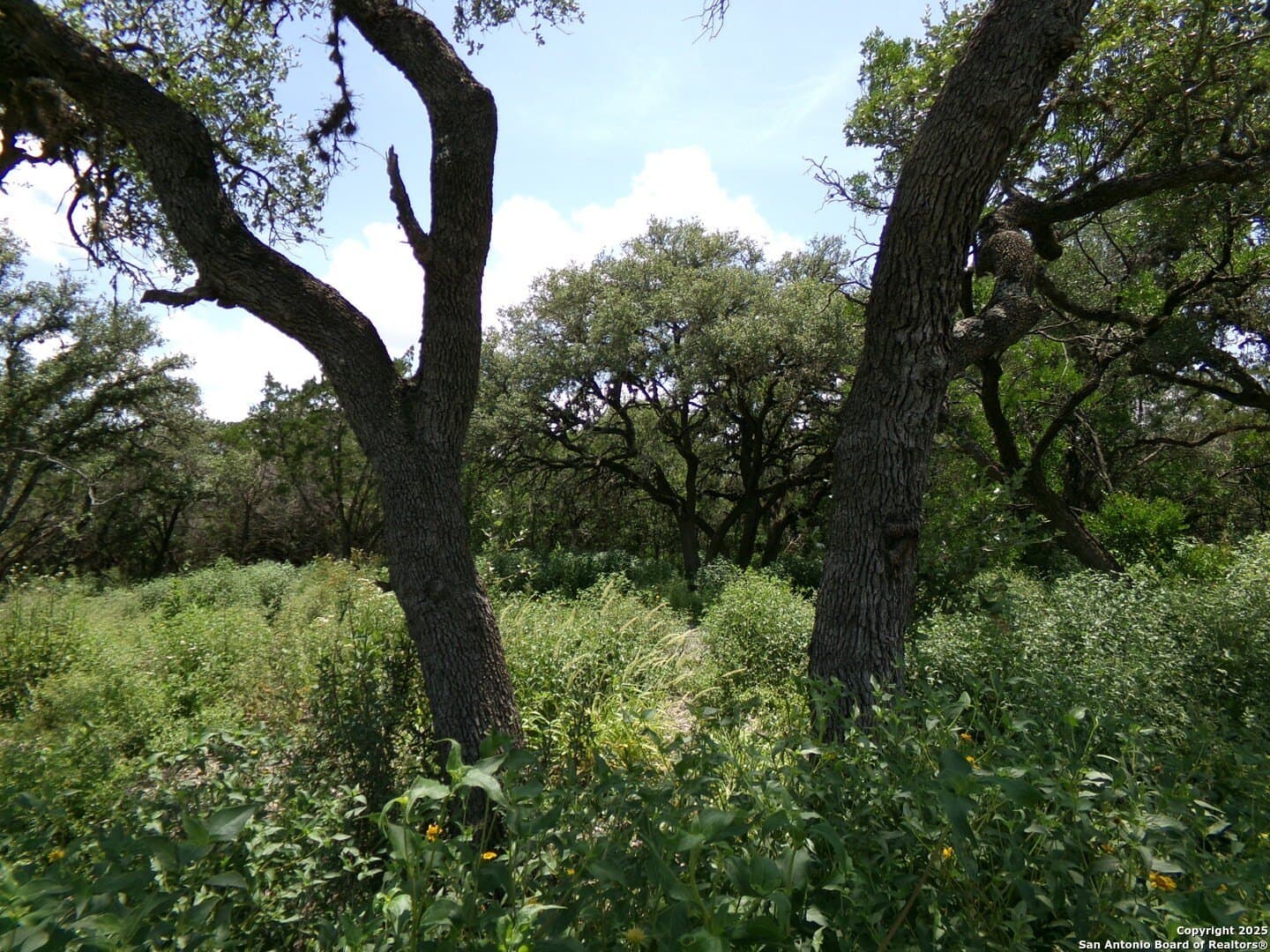 8.01 acres in Medina County - photo 12