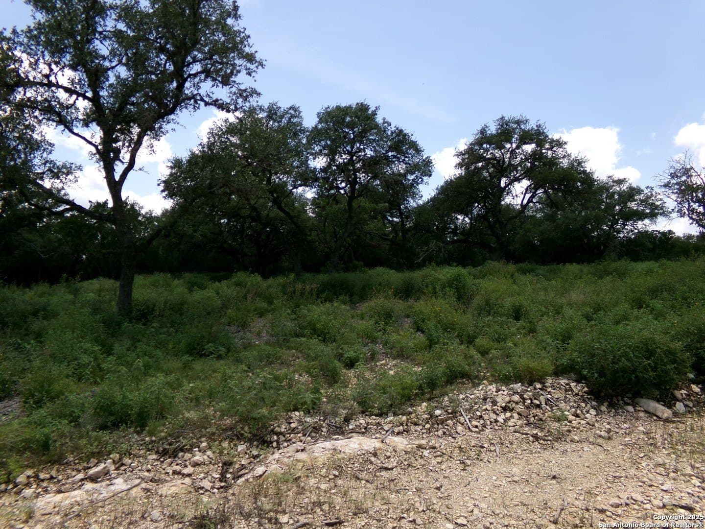 8.01 acres in Medina County gallery image 3