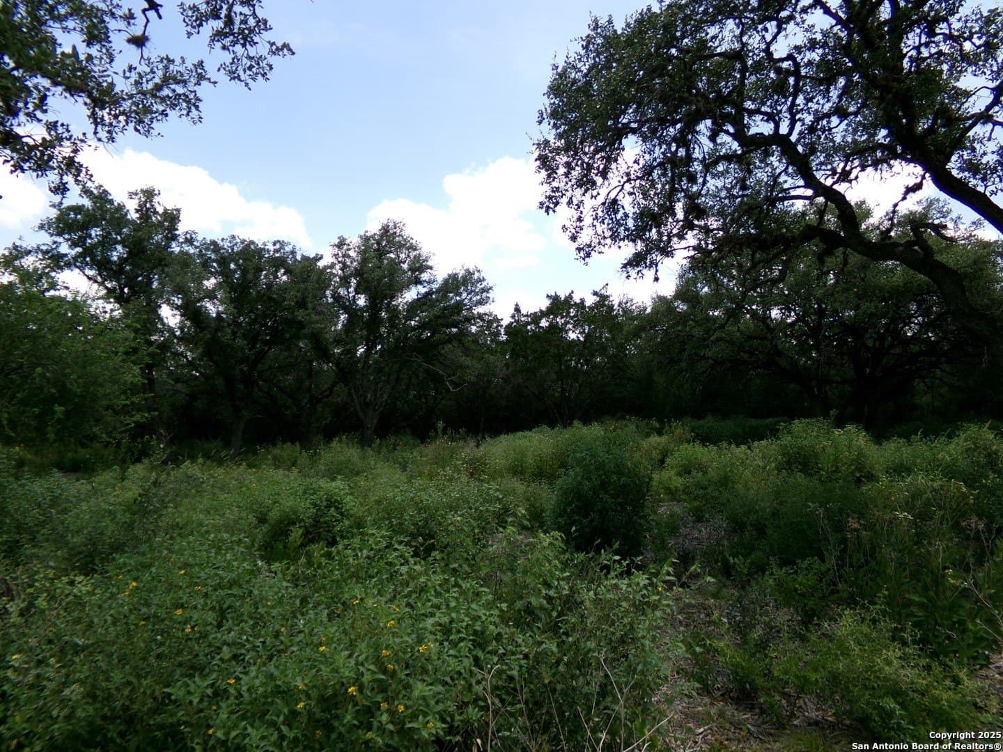 8.01 acres in Medina County - photo 6