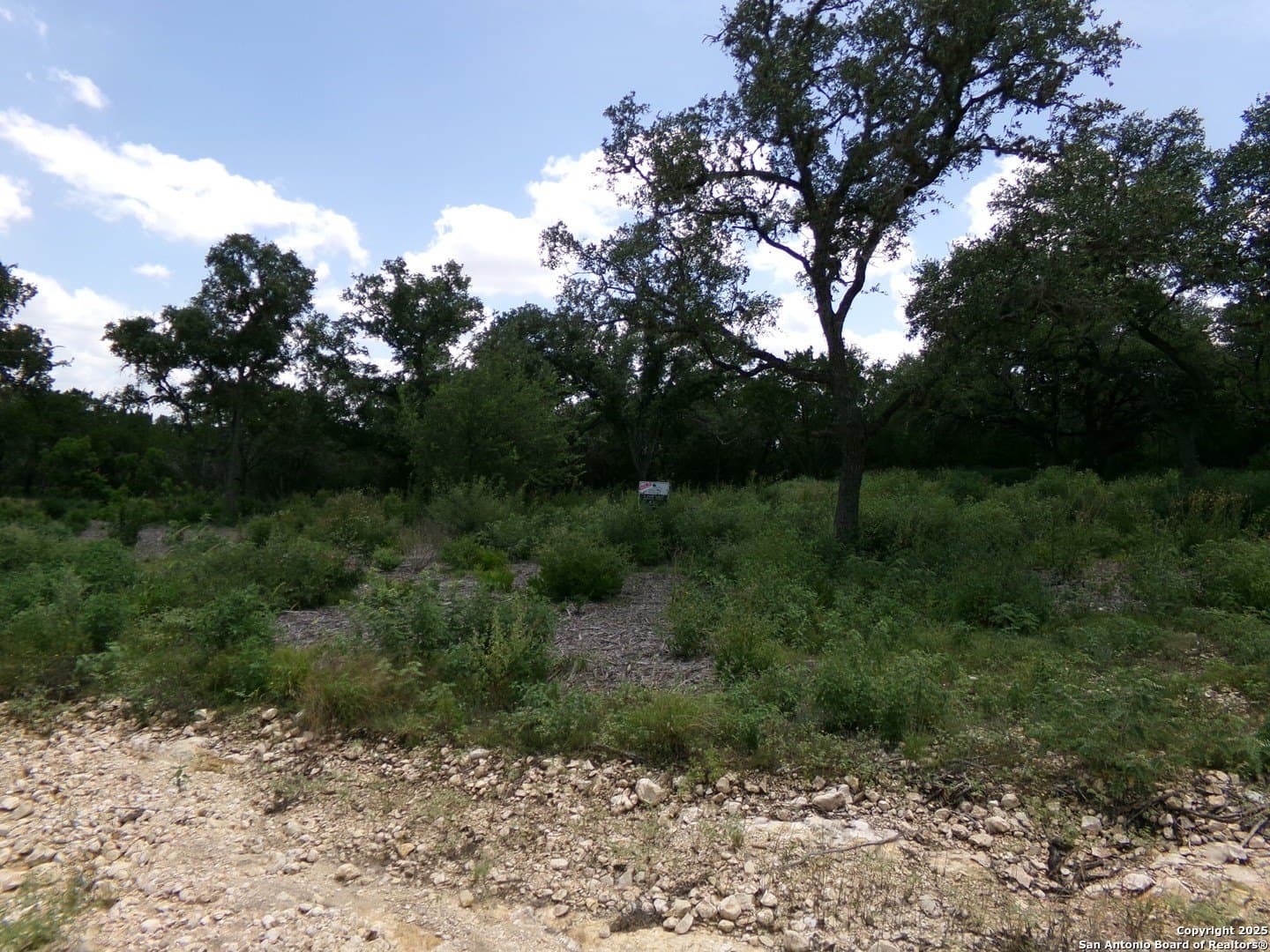 8.01 acres in Medina County gallery image 4