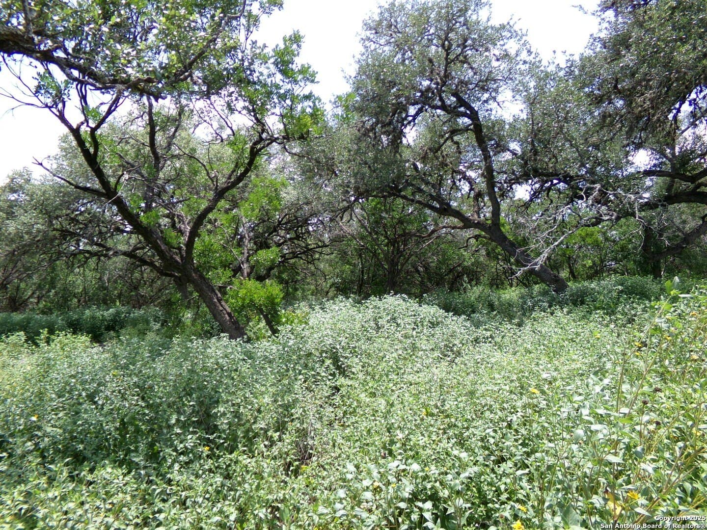 8.01 acres in Medina County - photo 9