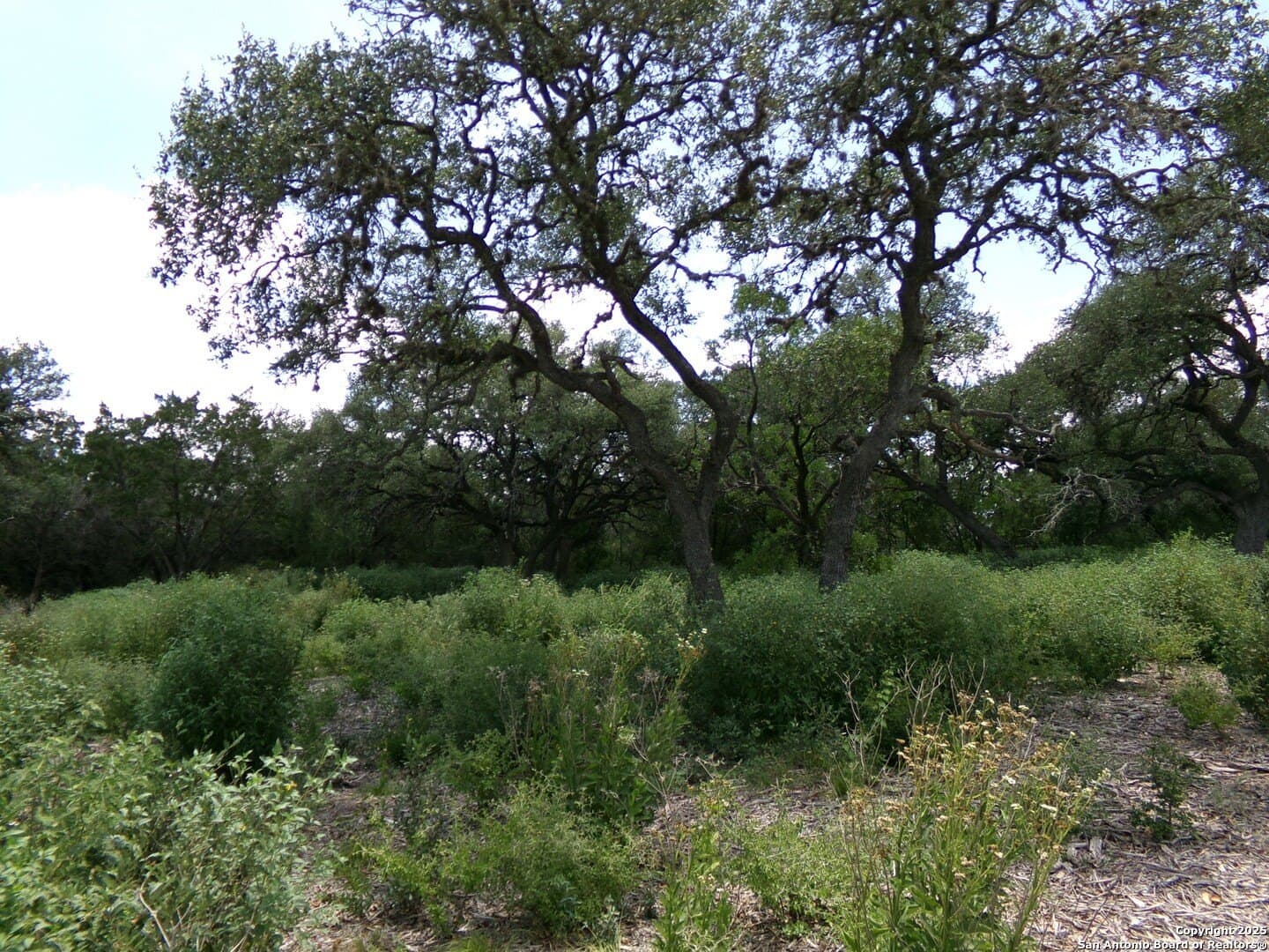 8.01 acres in Medina County featured view