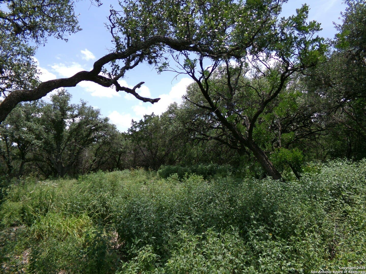 8.01 acres in Medina County - photo 8
