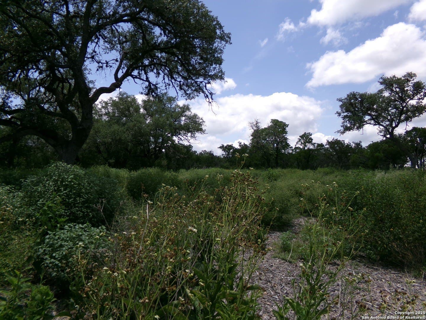 8.01 acres in Medina County gallery image 2