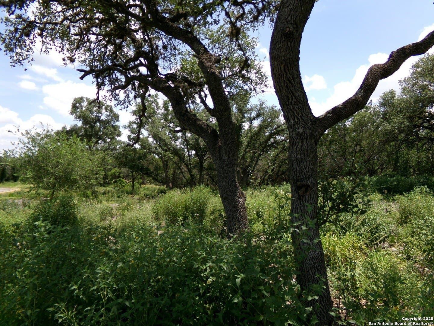 8.01 acres in Medina County - photo 11
