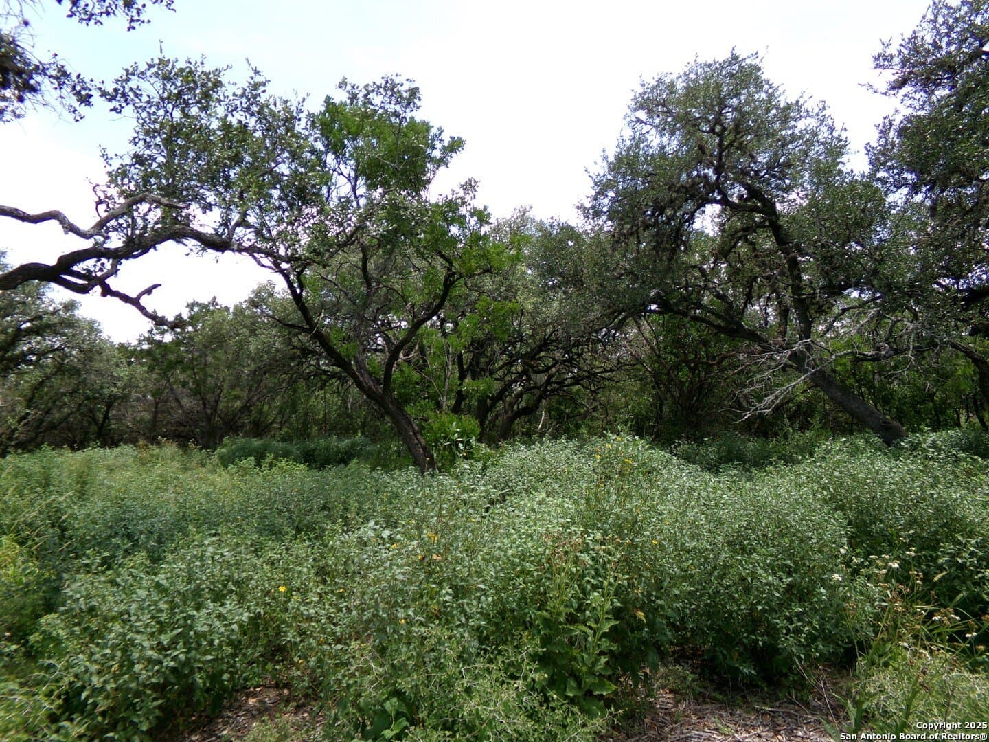 8.01 acres in Medina County - photo 7