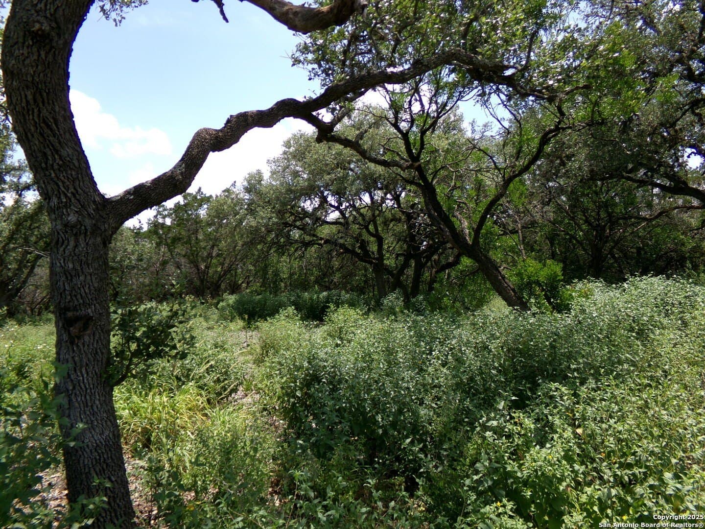 8.01 acres in Medina County - photo 10