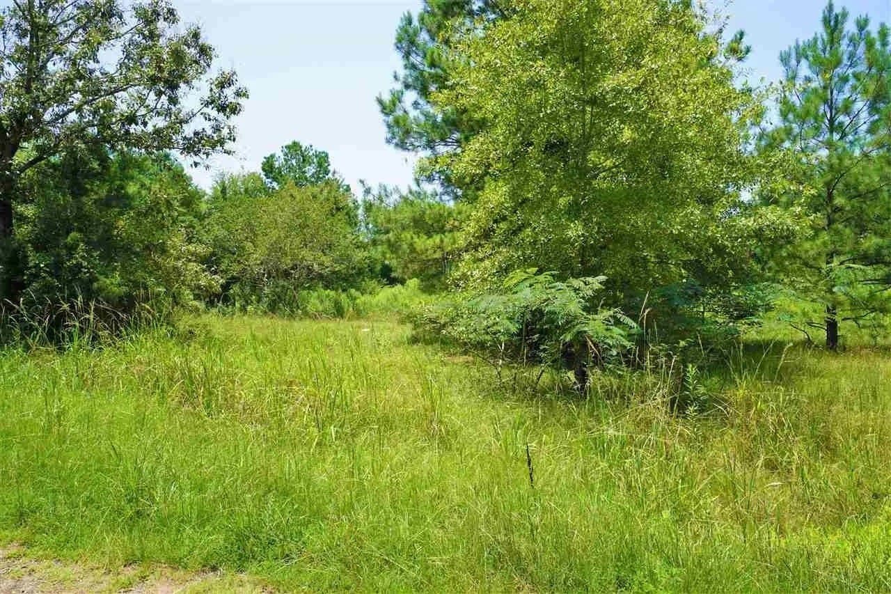 20.43 acres in Shelby County gallery image 4