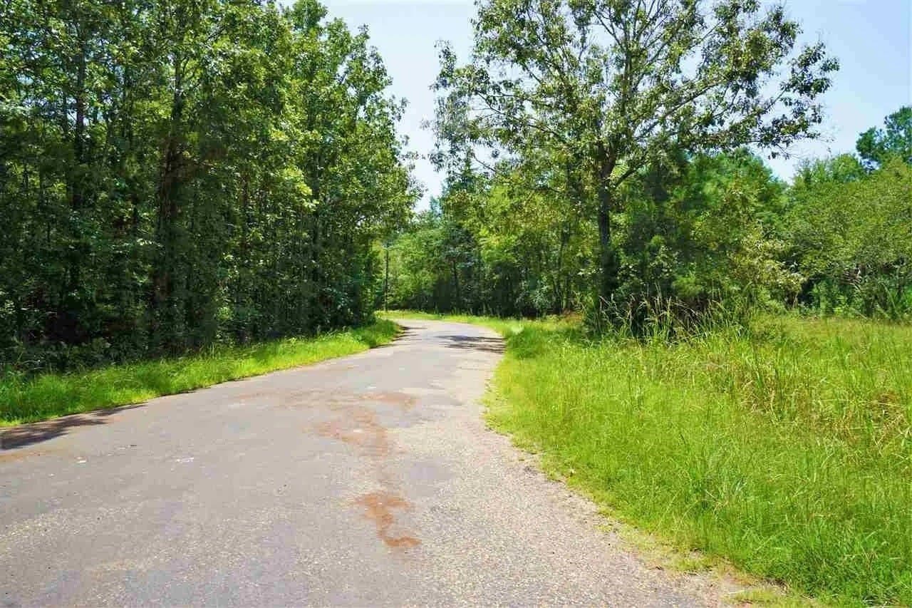 20.43 acres in Shelby County gallery image 3