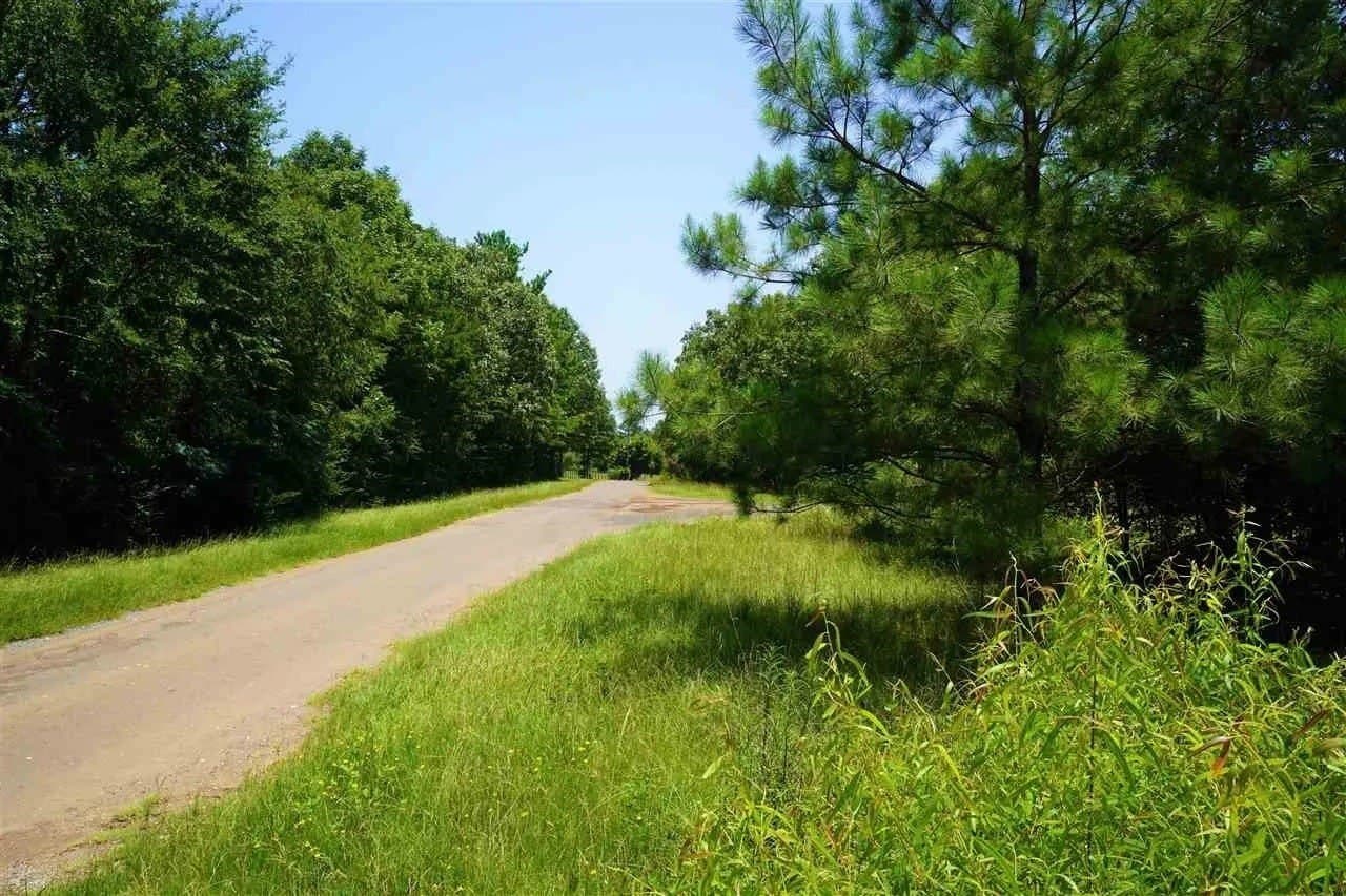 20.43 acres in Shelby County featured view