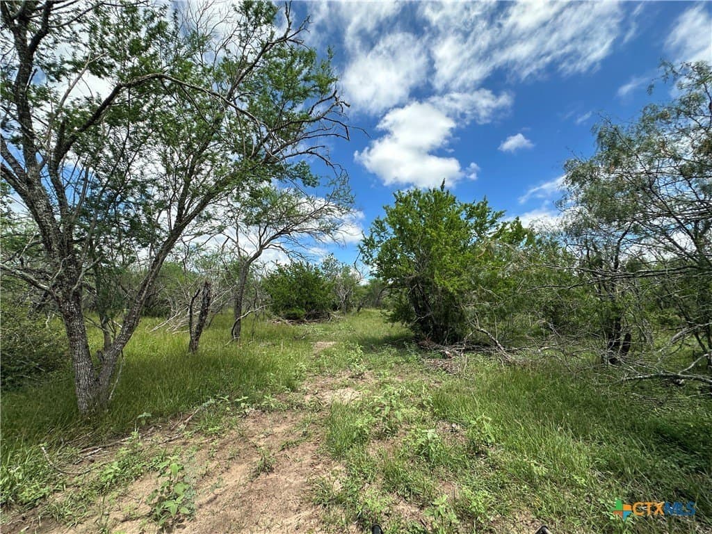 23.71 acres in Victoria County - photo 7