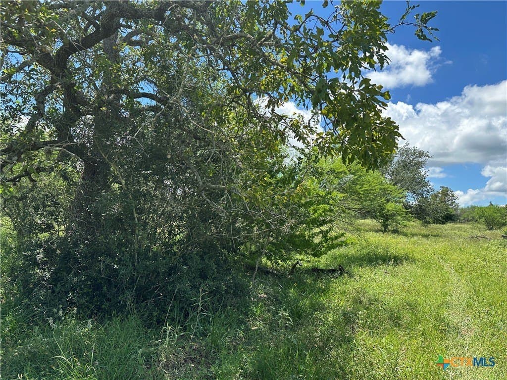 23.71 acres in Victoria County gallery image 3
