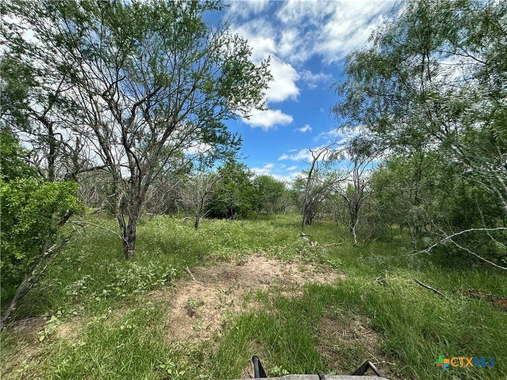 23.71 acres in Victoria County - photo 6