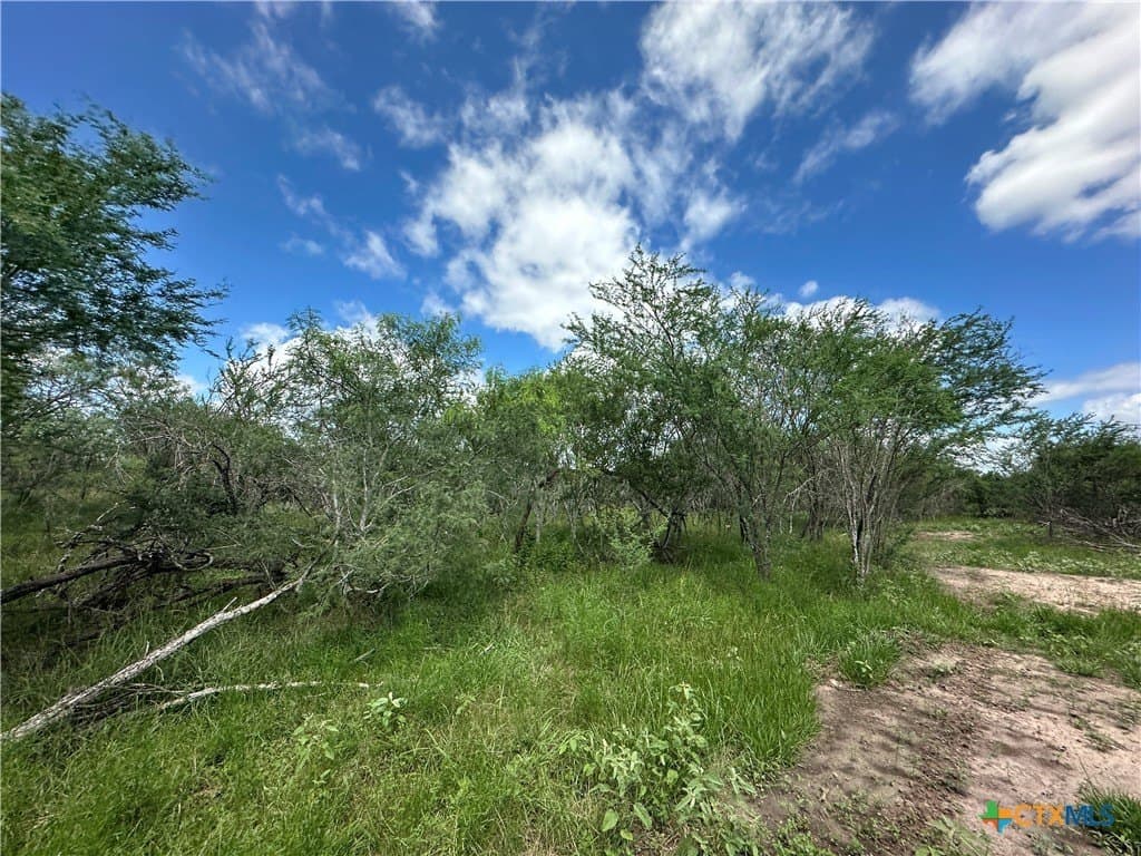 23.71 acres in Victoria County featured view