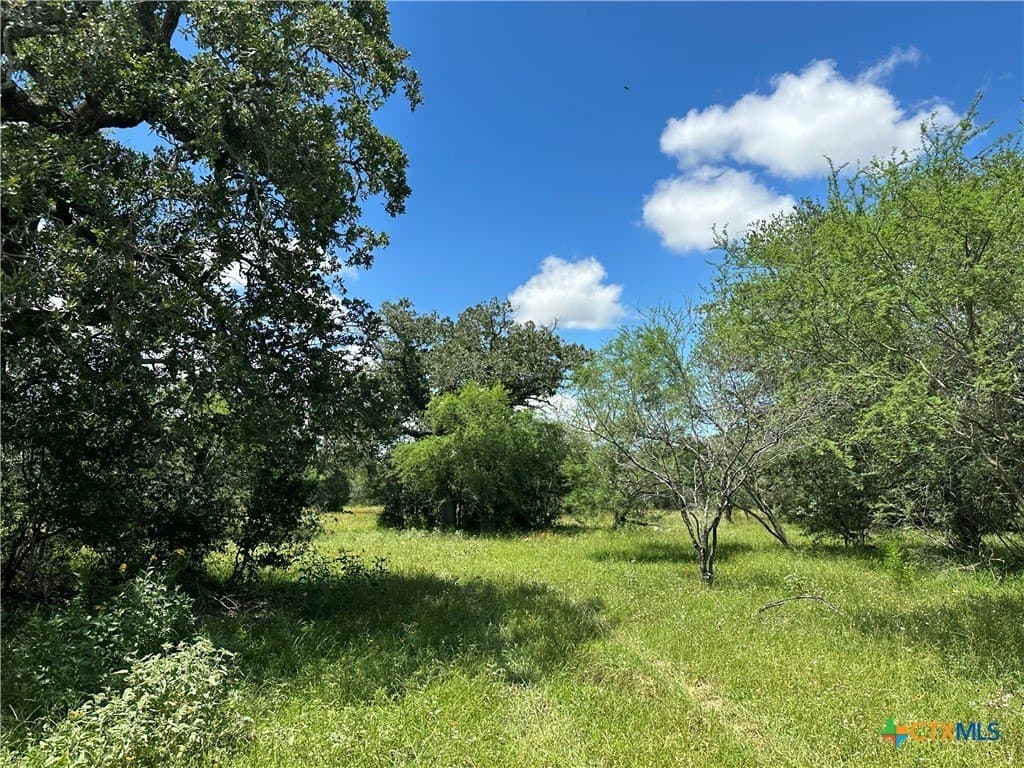 23.71 acres in Victoria County gallery image 2