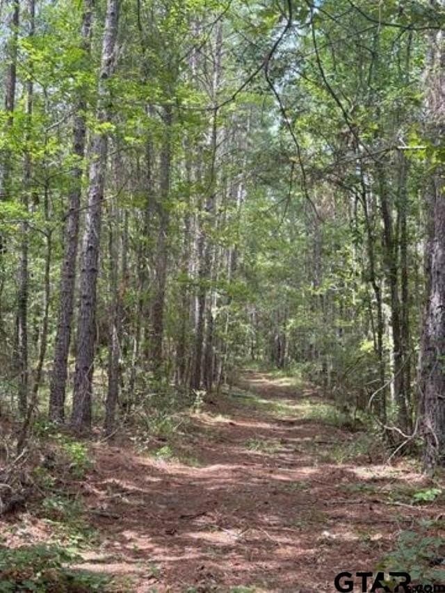 45 acres in Cherokee County gallery image 3