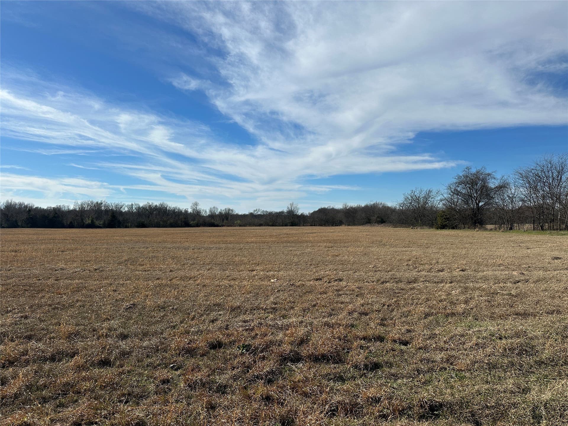 10 acres in Hopkins County gallery image 4