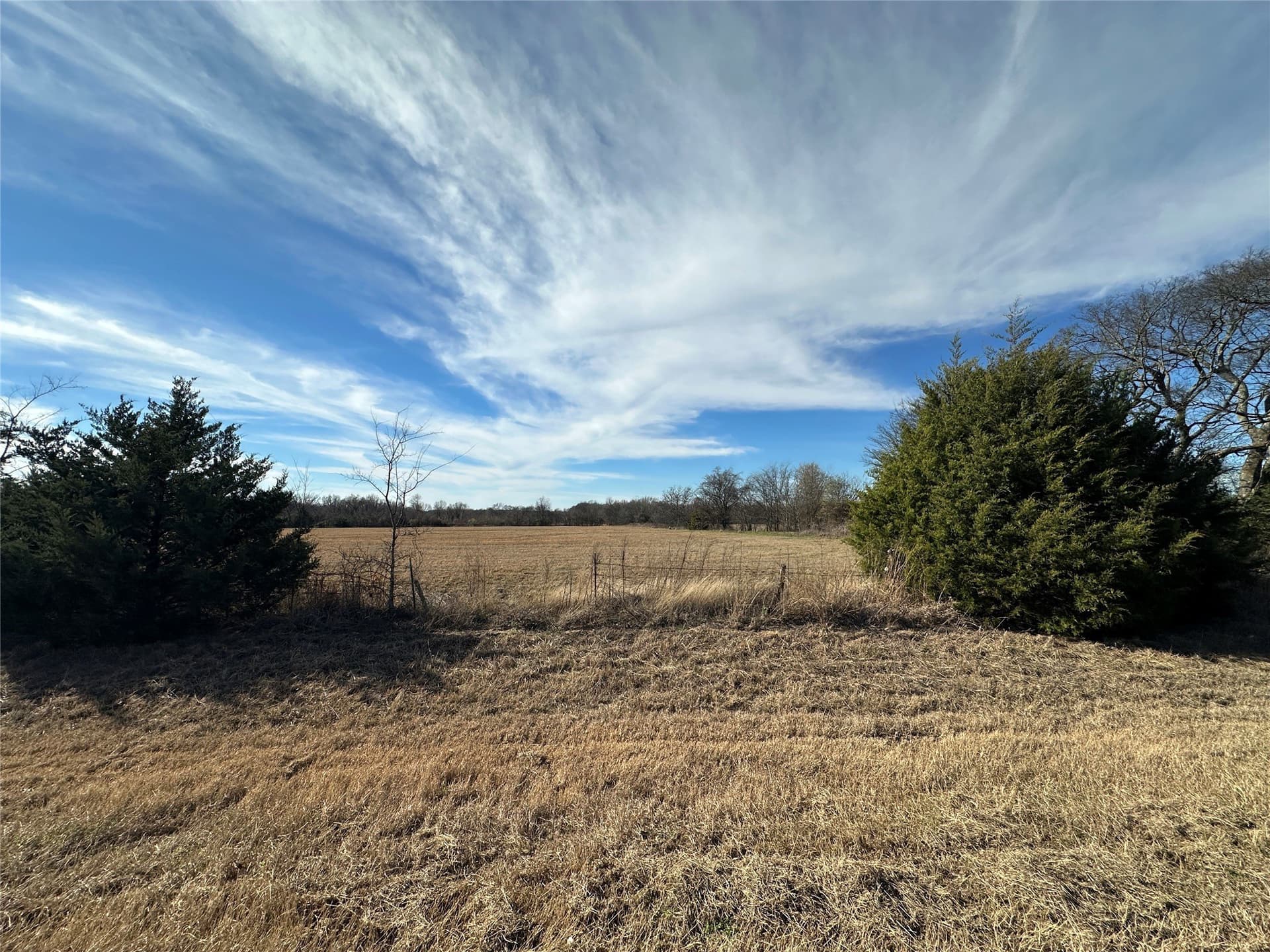 10 acres in Hopkins County - photo 8