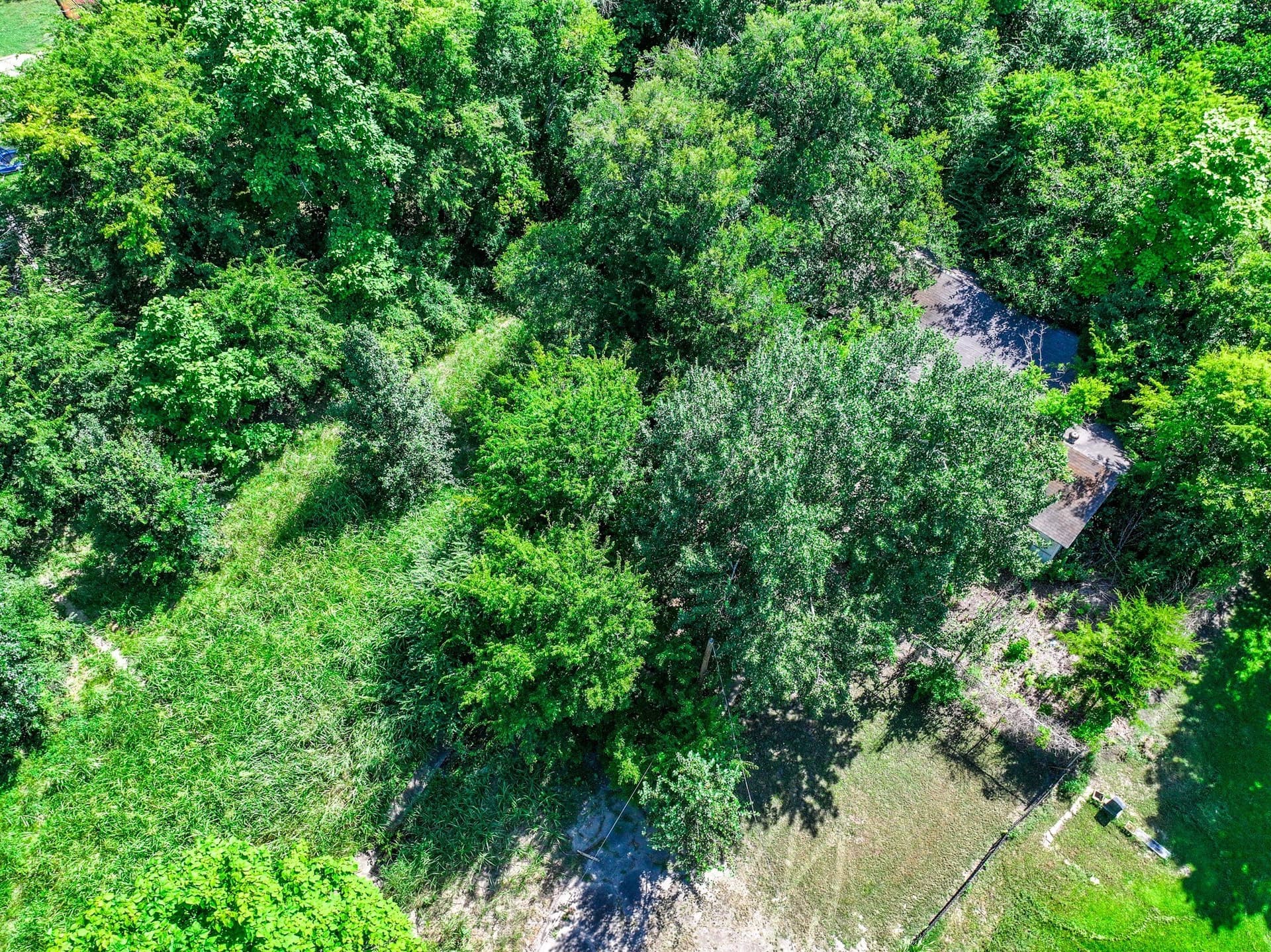 0.12 acres in Red River (TX) County - photo 8