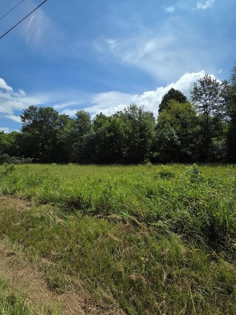 0.11 acres in Henderson County gallery image 2