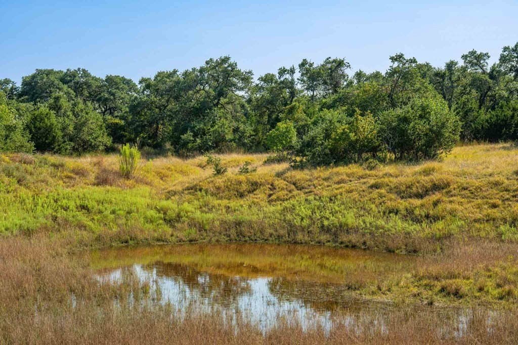 26.36 acres in Blanco County gallery image 3