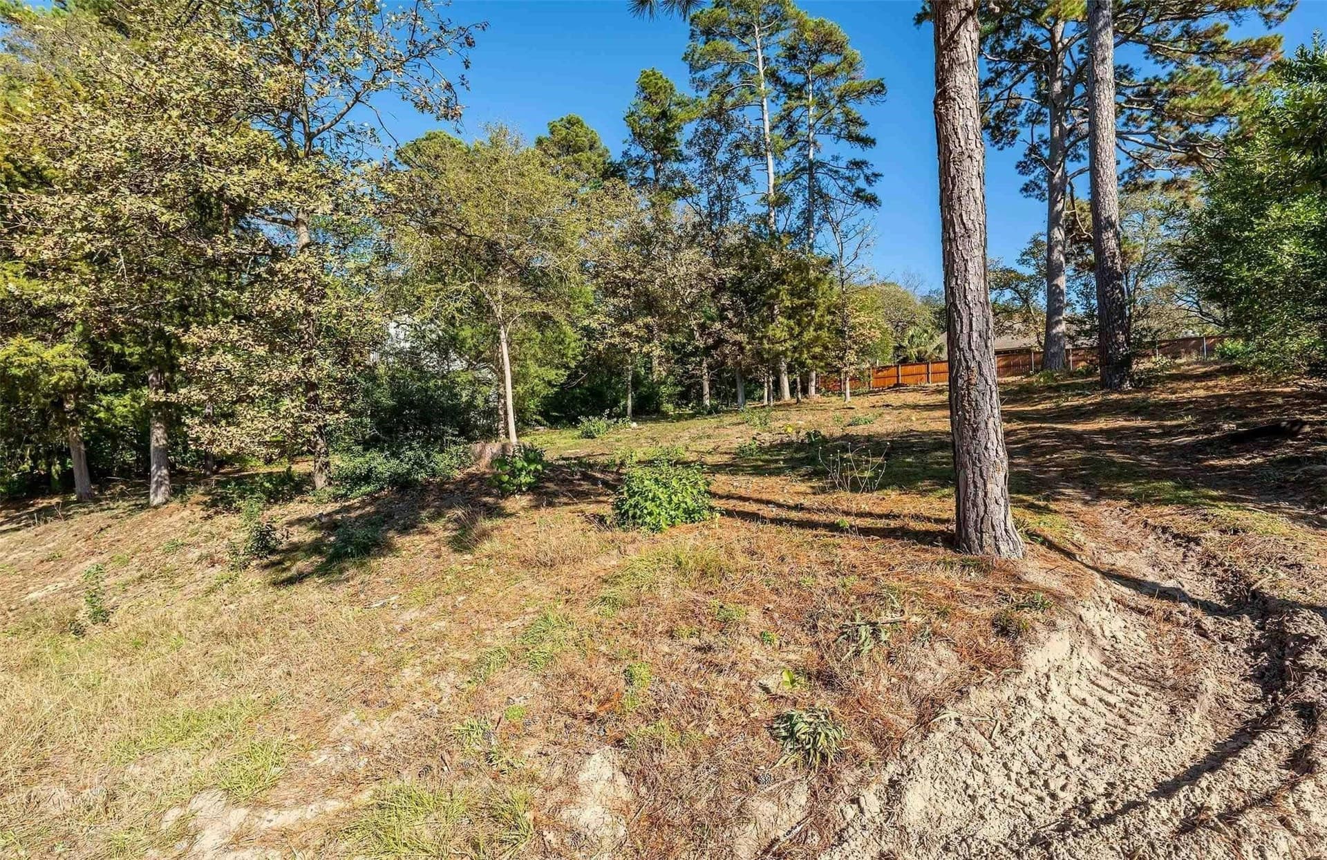 0.4 acres in Smith County gallery image 3