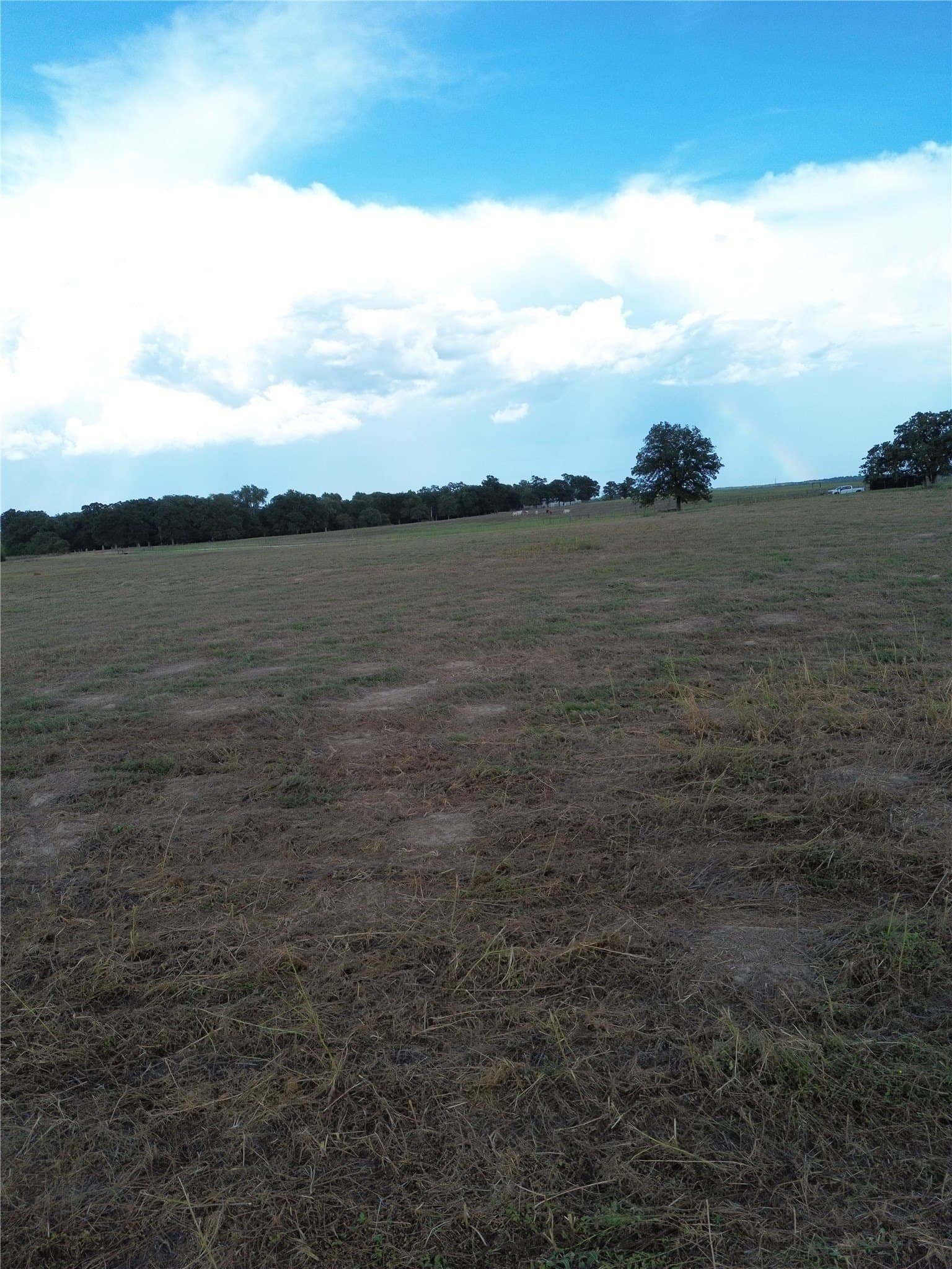 4.1 acres in Robertson County - photo 5