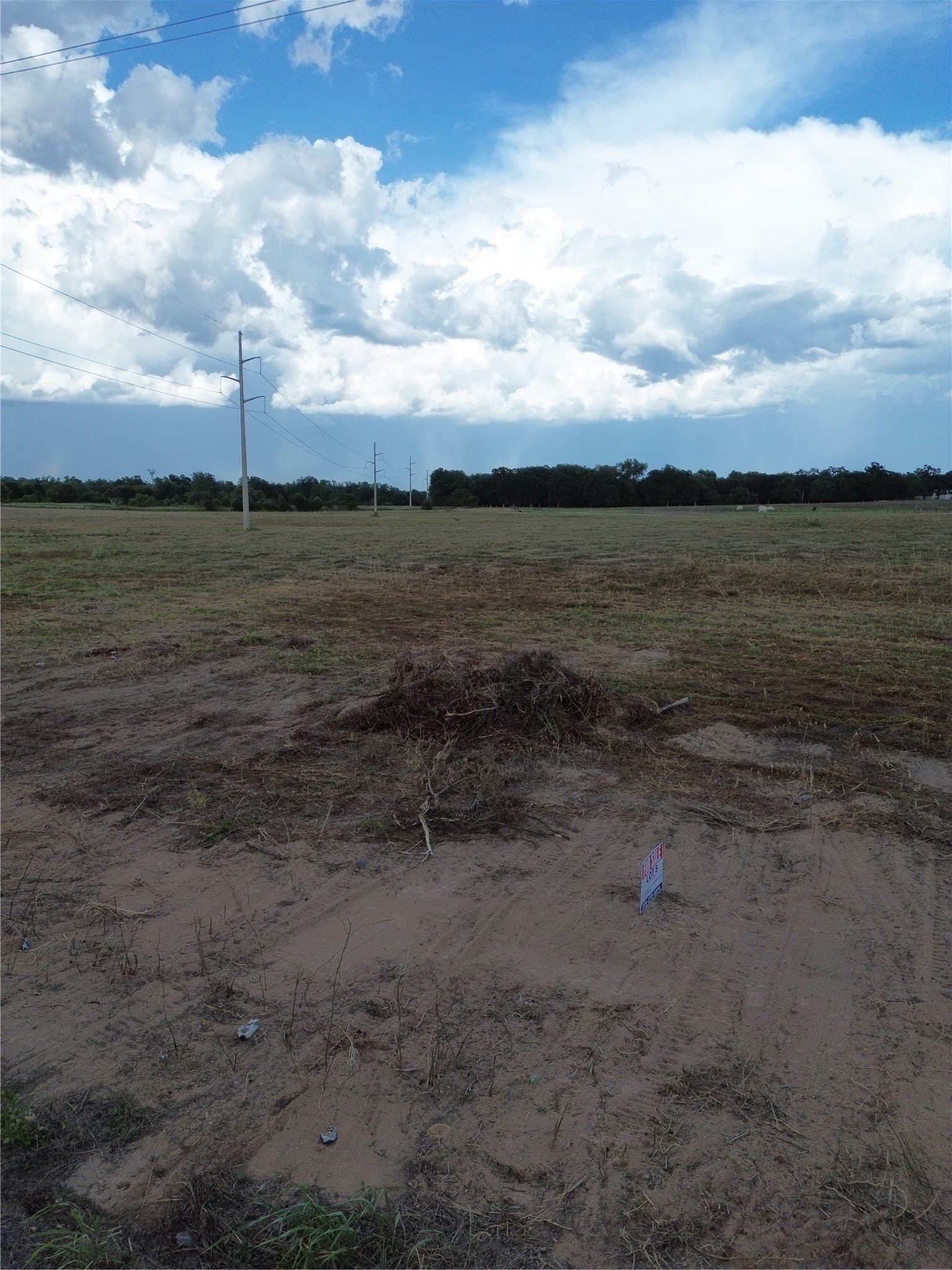 4.1 acres in Robertson County - photo 3