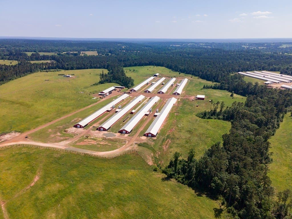 56 acres in Texas County gallery image 3