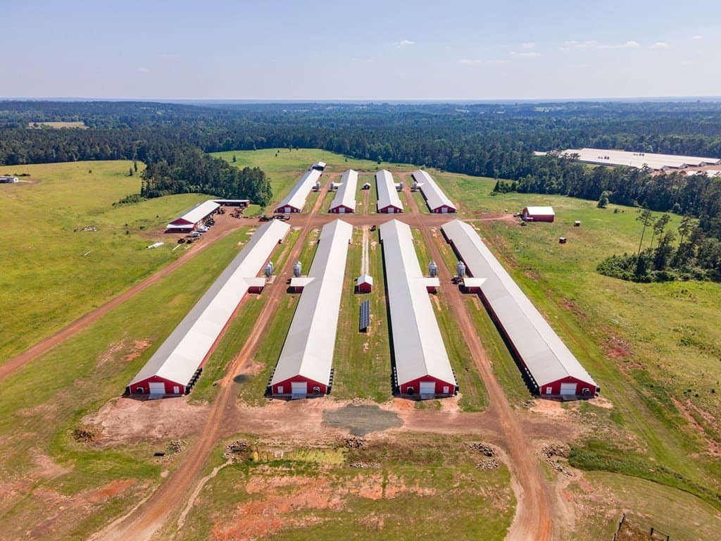 56 acres in Texas County - photo 6