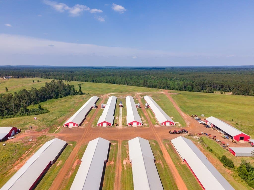 56 acres in Texas County featured view