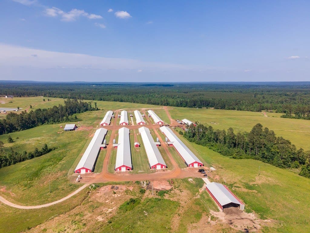 56 acres in Texas County gallery image 4