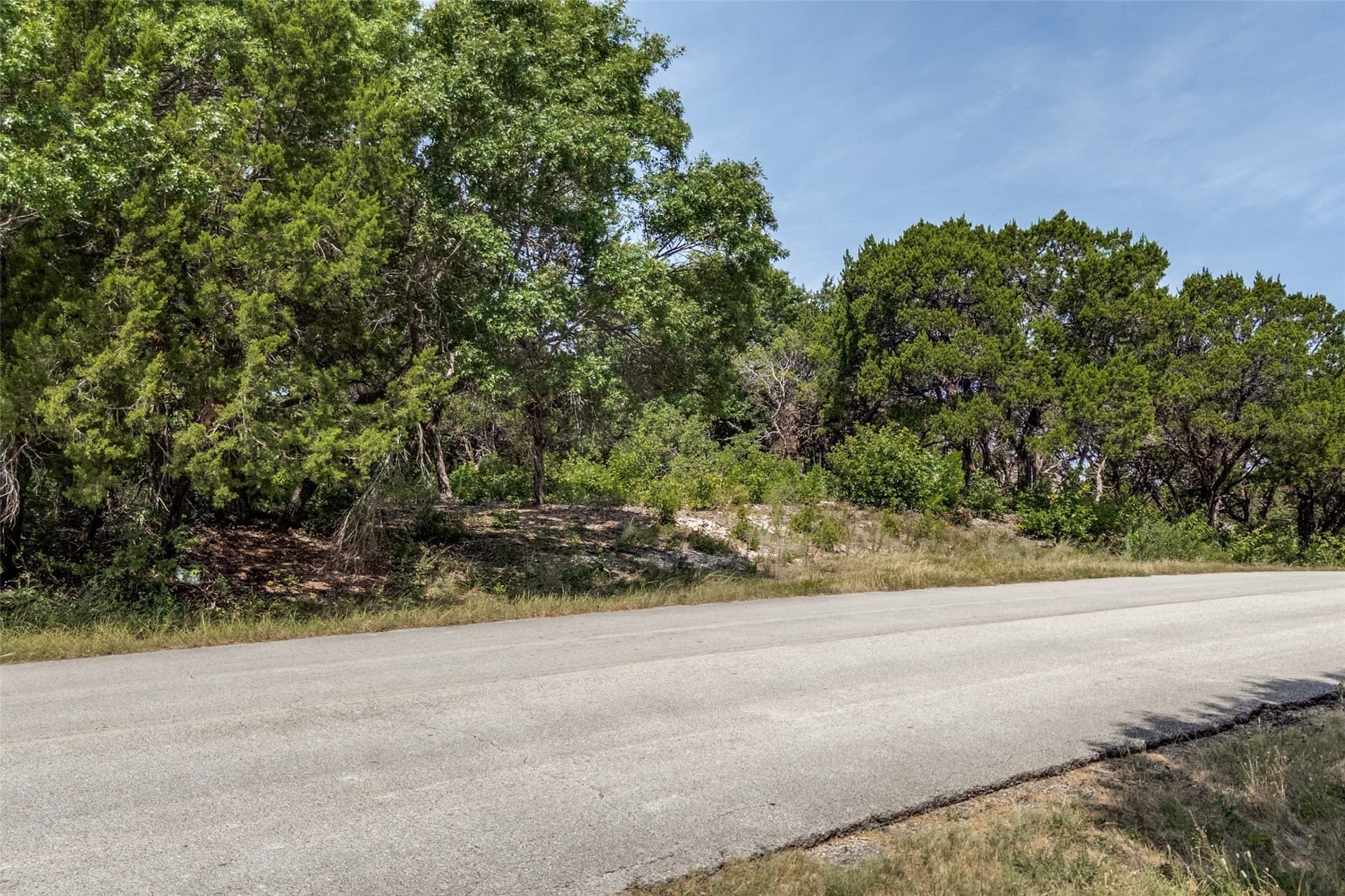 1.13 acres in Dallas County - photo 2