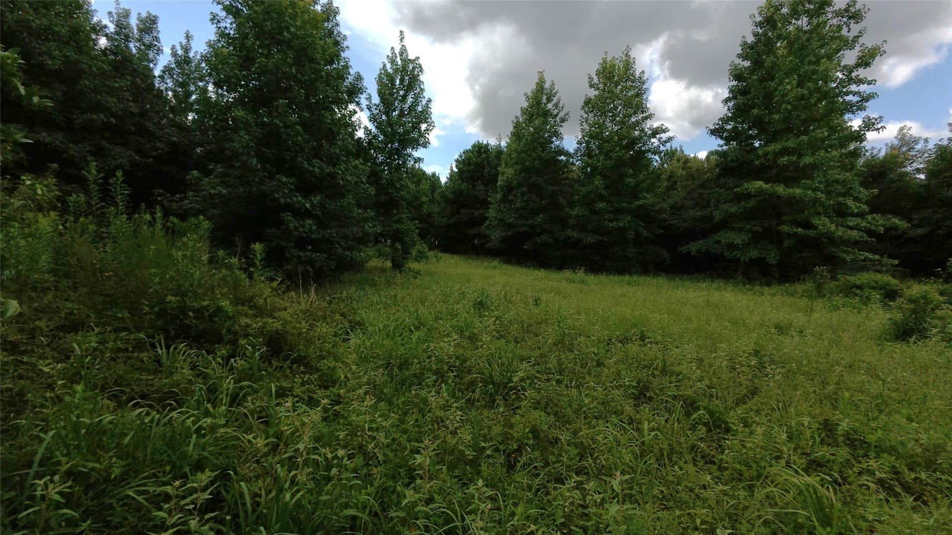28 acres in Cass County - photo 13