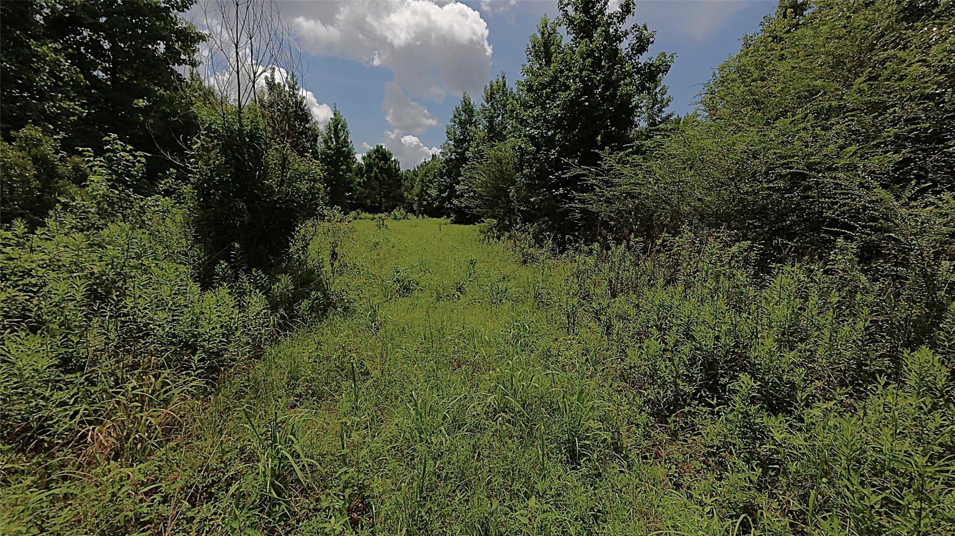 28 acres in Cass County - photo 10