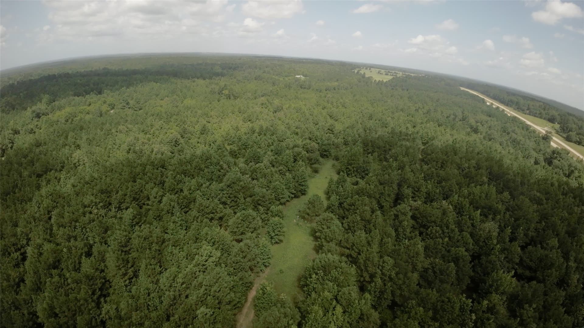 28 acres in Cass County - photo 26