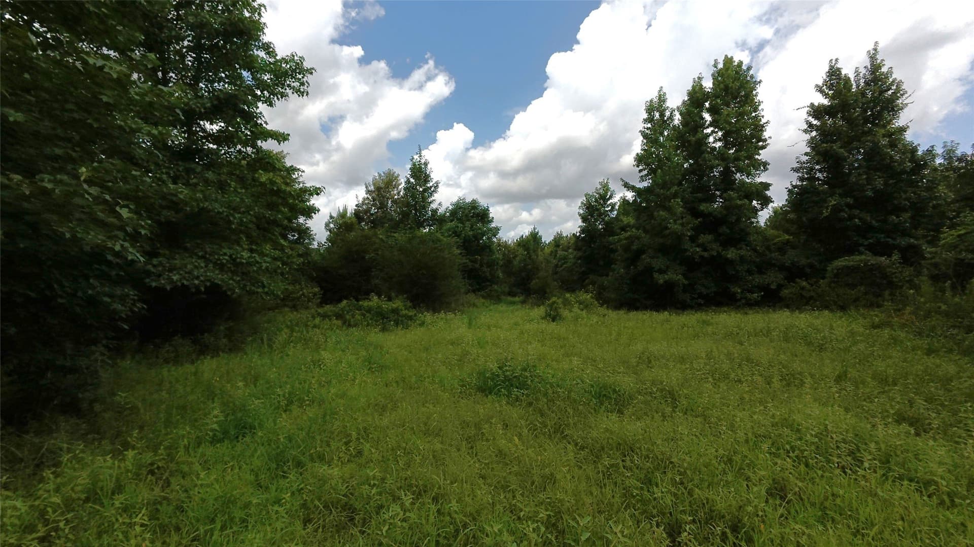 28 acres in Cass County - photo 5