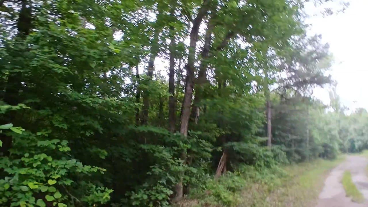 28 acres in Cass County - photo 29