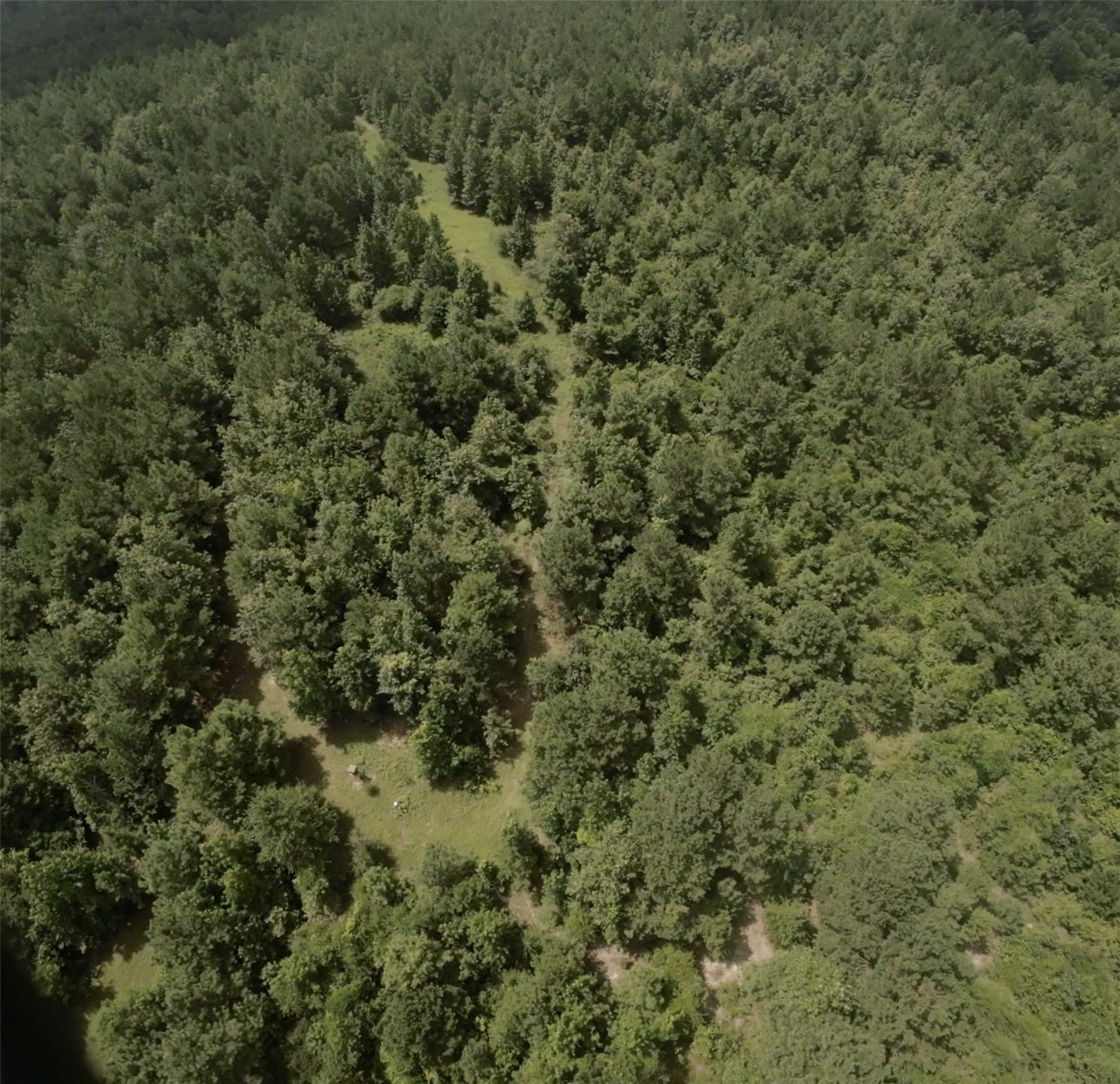28 acres in Cass County - photo 19