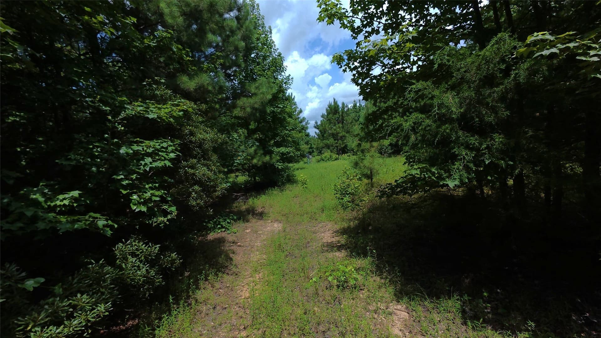 28 acres in Cass County - photo 28