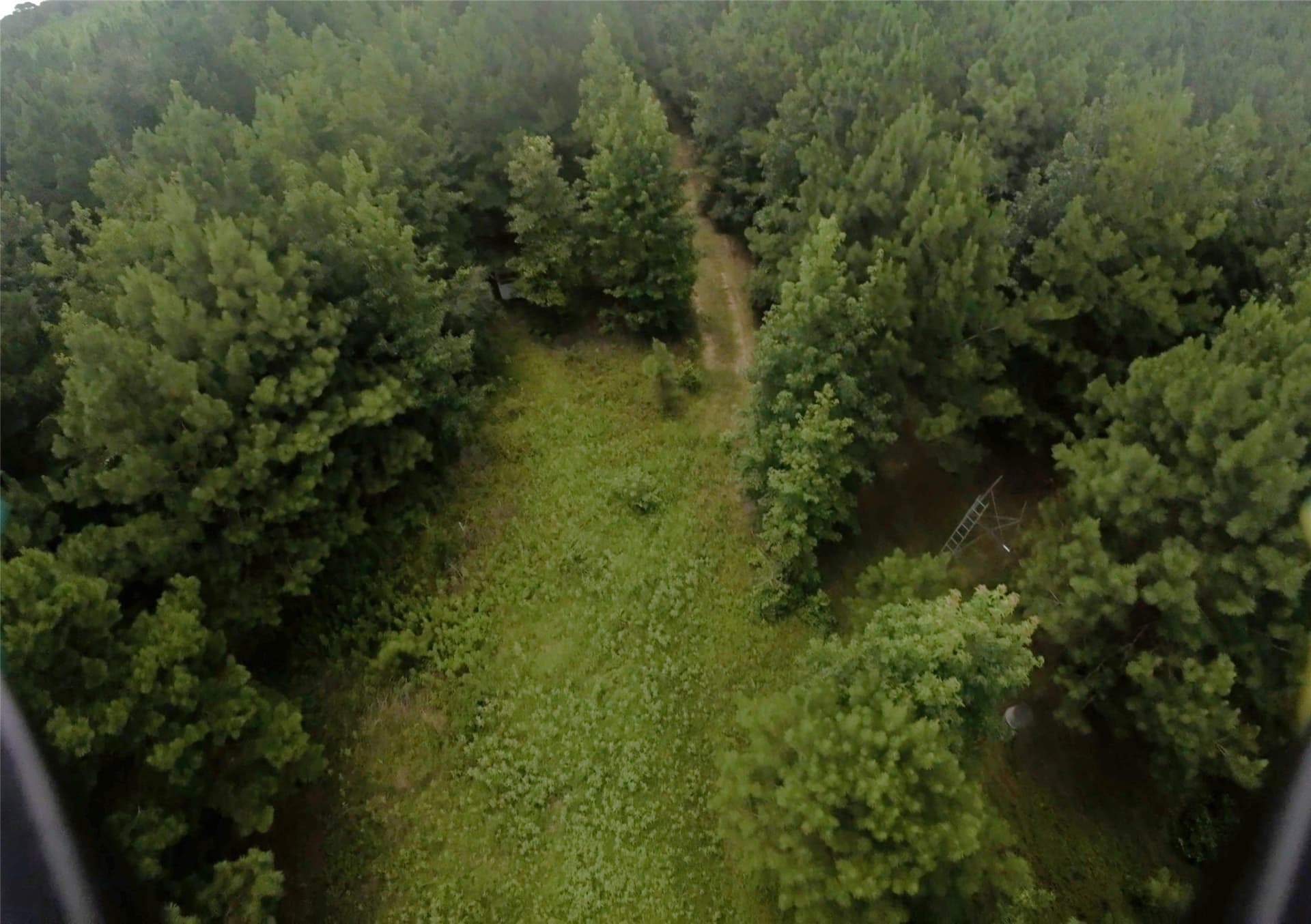 28 acres in Cass County - photo 24