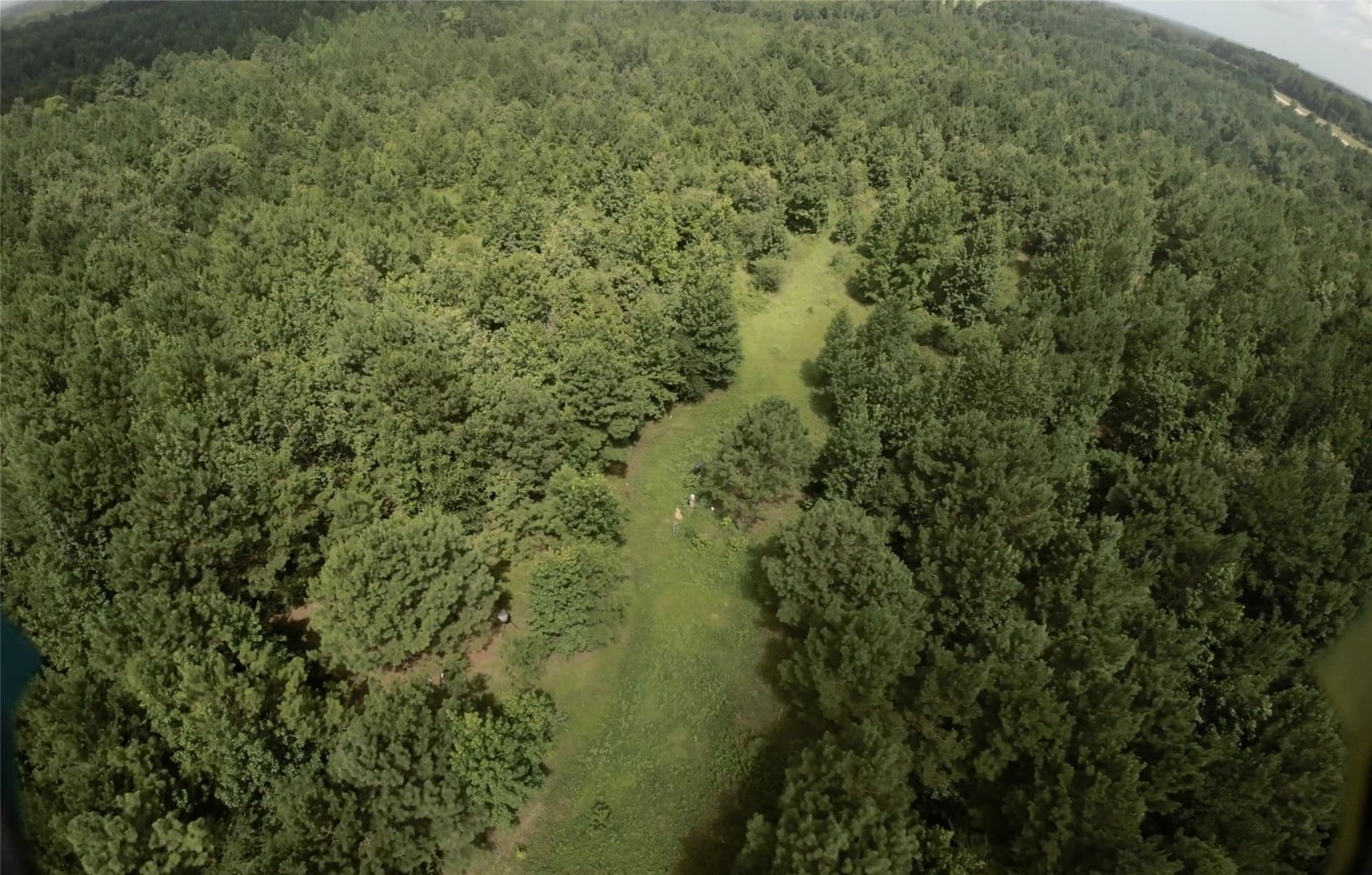 28 acres in Cass County - photo 25