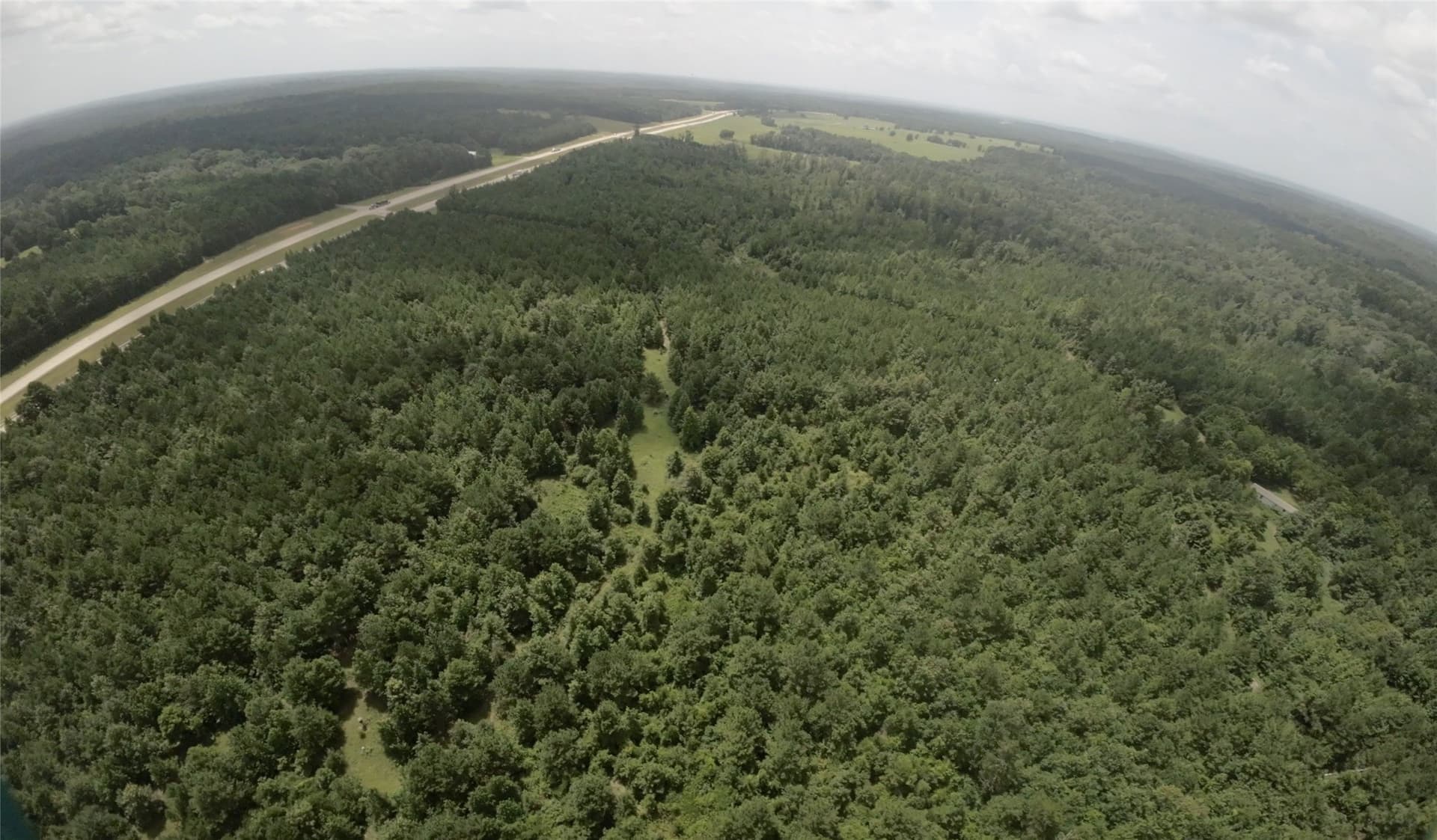 28 acres in Cass County - photo 11