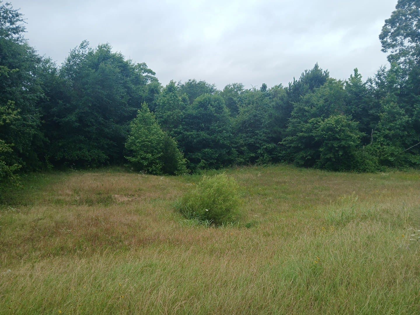 28 acres in Cass County - photo 32