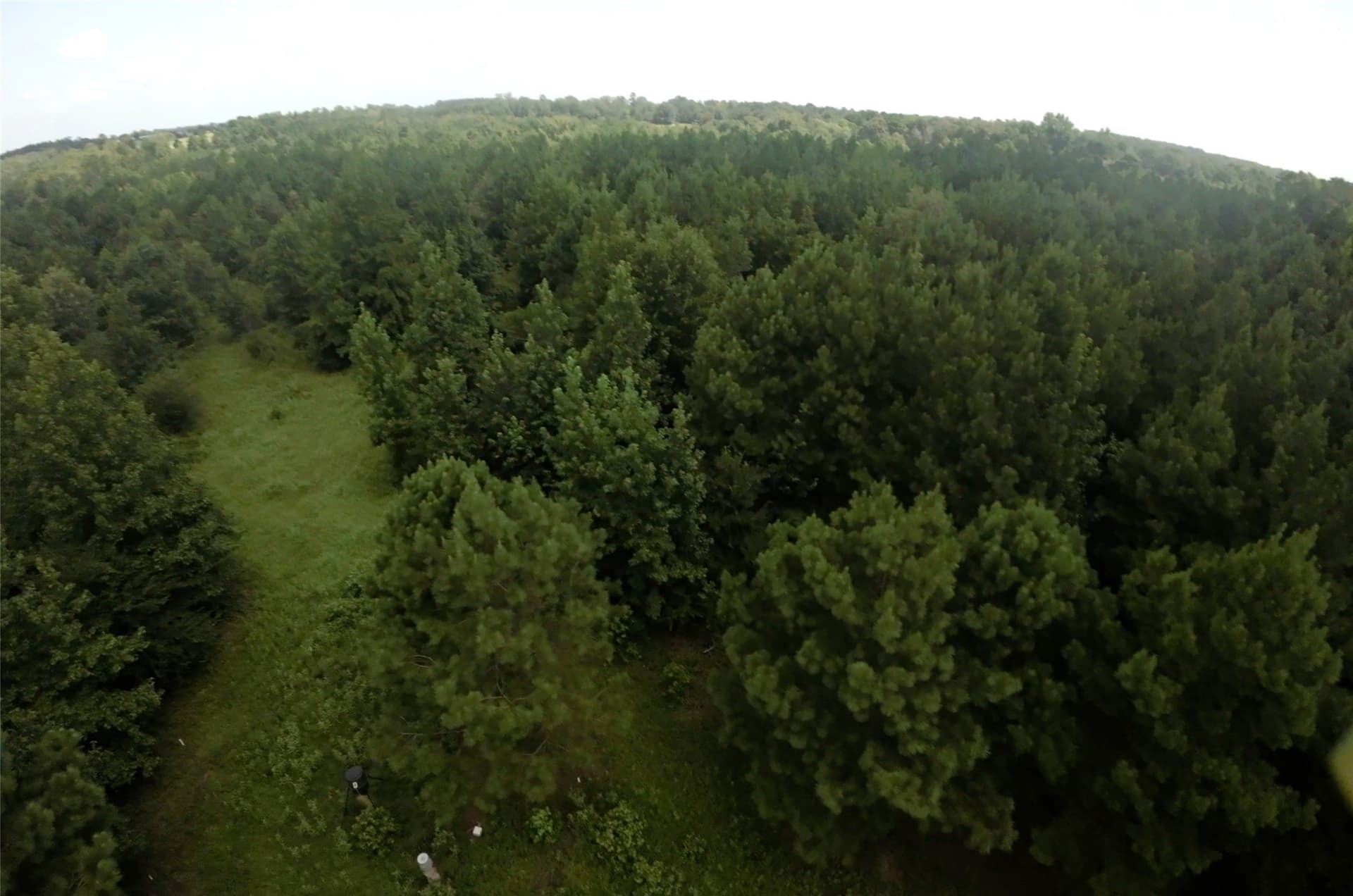 28 acres in Cass County - photo 23