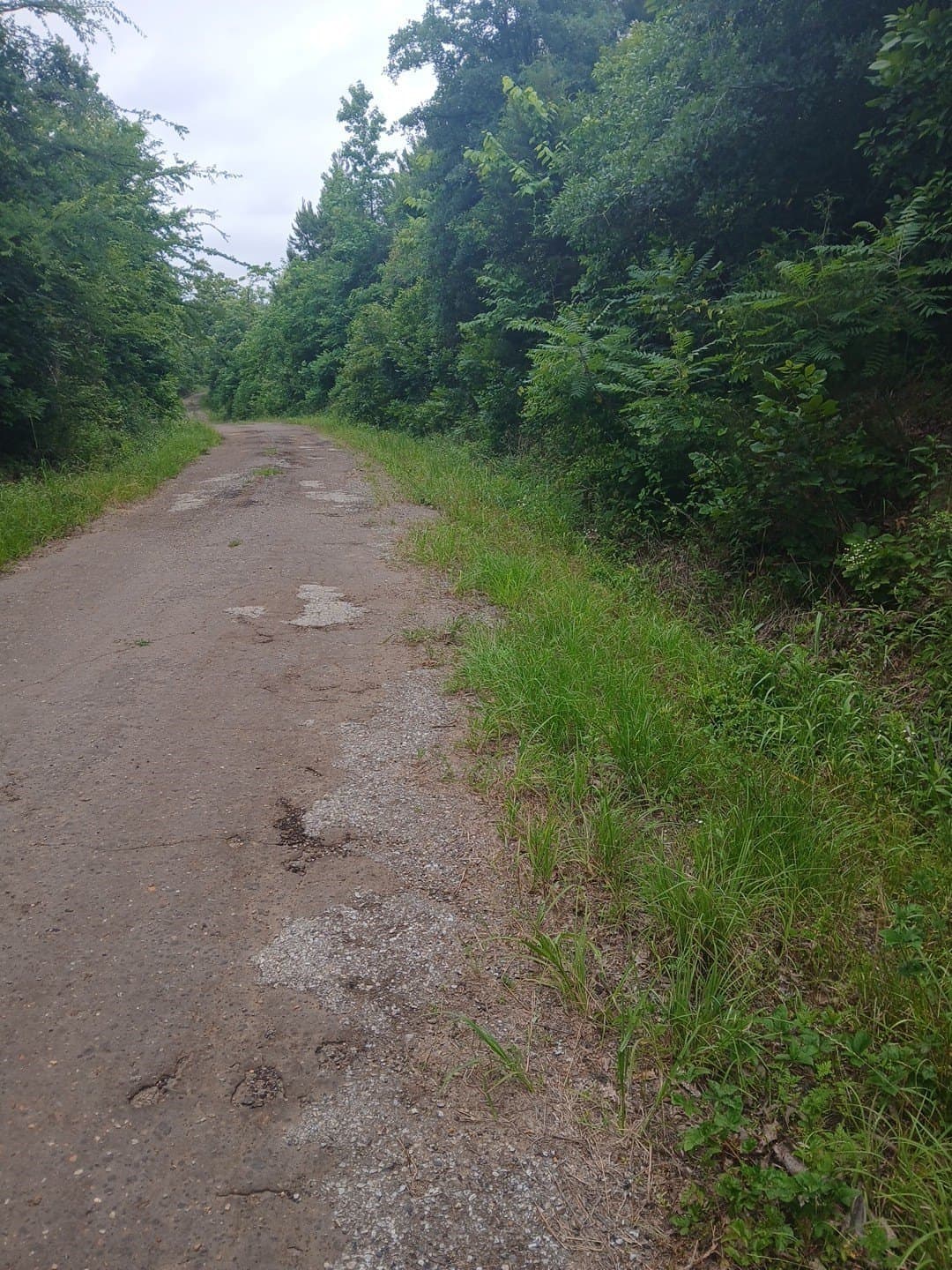 28 acres in Cass County - photo 21