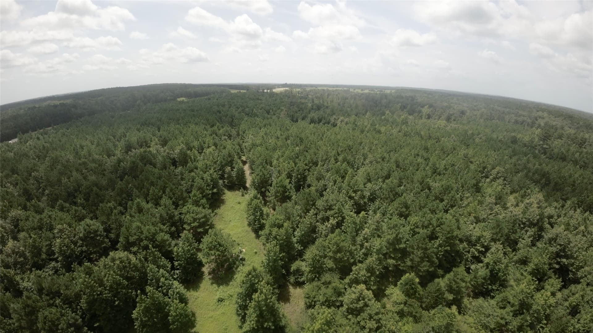 28 acres in Cass County - photo 9