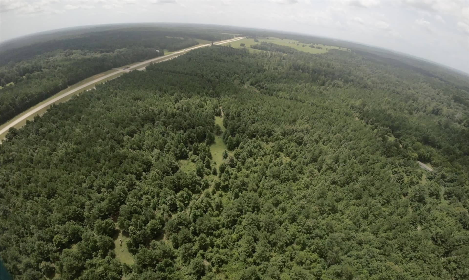 28 acres in Cass County - photo 12