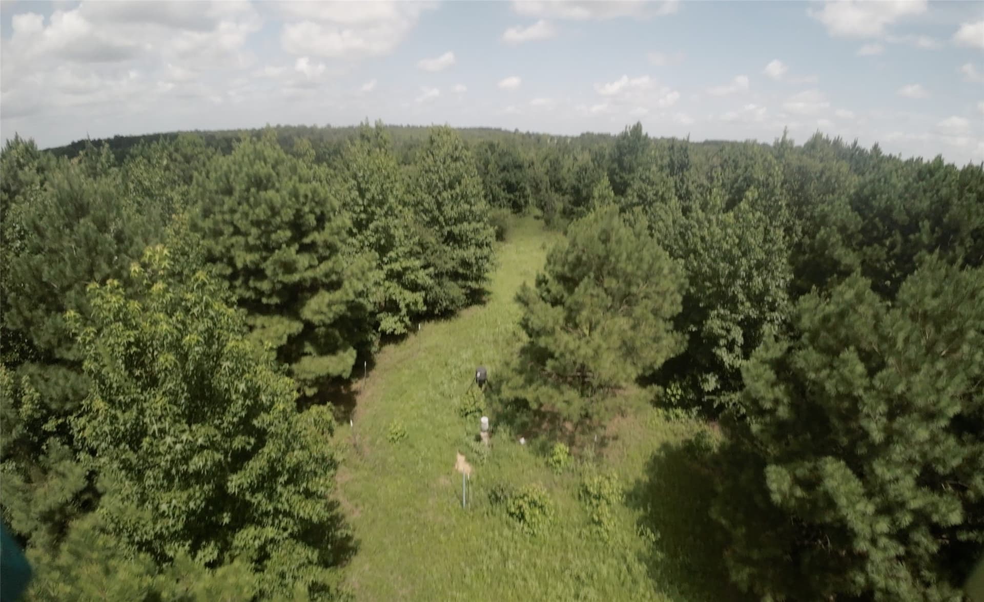 28 acres in Cass County