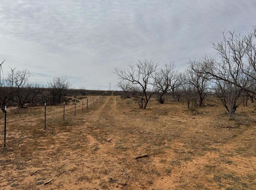360 acres in Scurry County gallery image 3